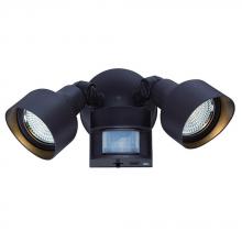 Acclaim Lighting LFL2ABZM - Motion Activated LED Floodlights 